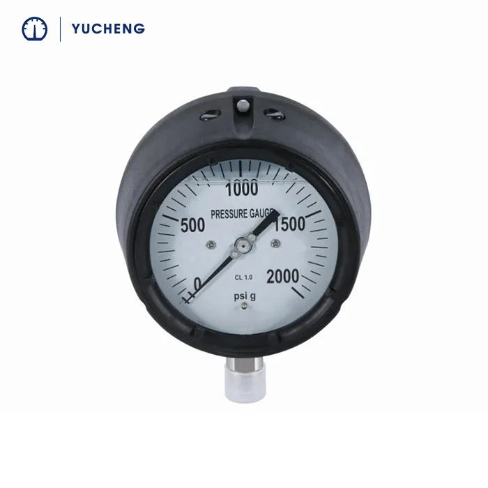 process pressure gauge